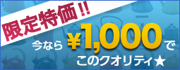 限定特価！今なら1000円でこのクオリティ